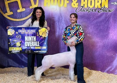 Champion Dorset - Champion Overall Market Lamb