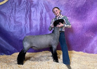 Champion Jr. Showman