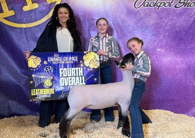 Champion Overall Ewe