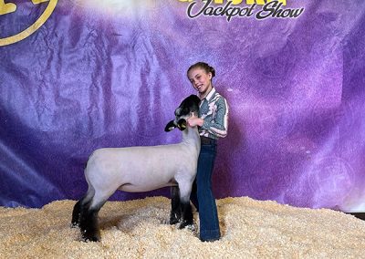 Champion Jr Showman